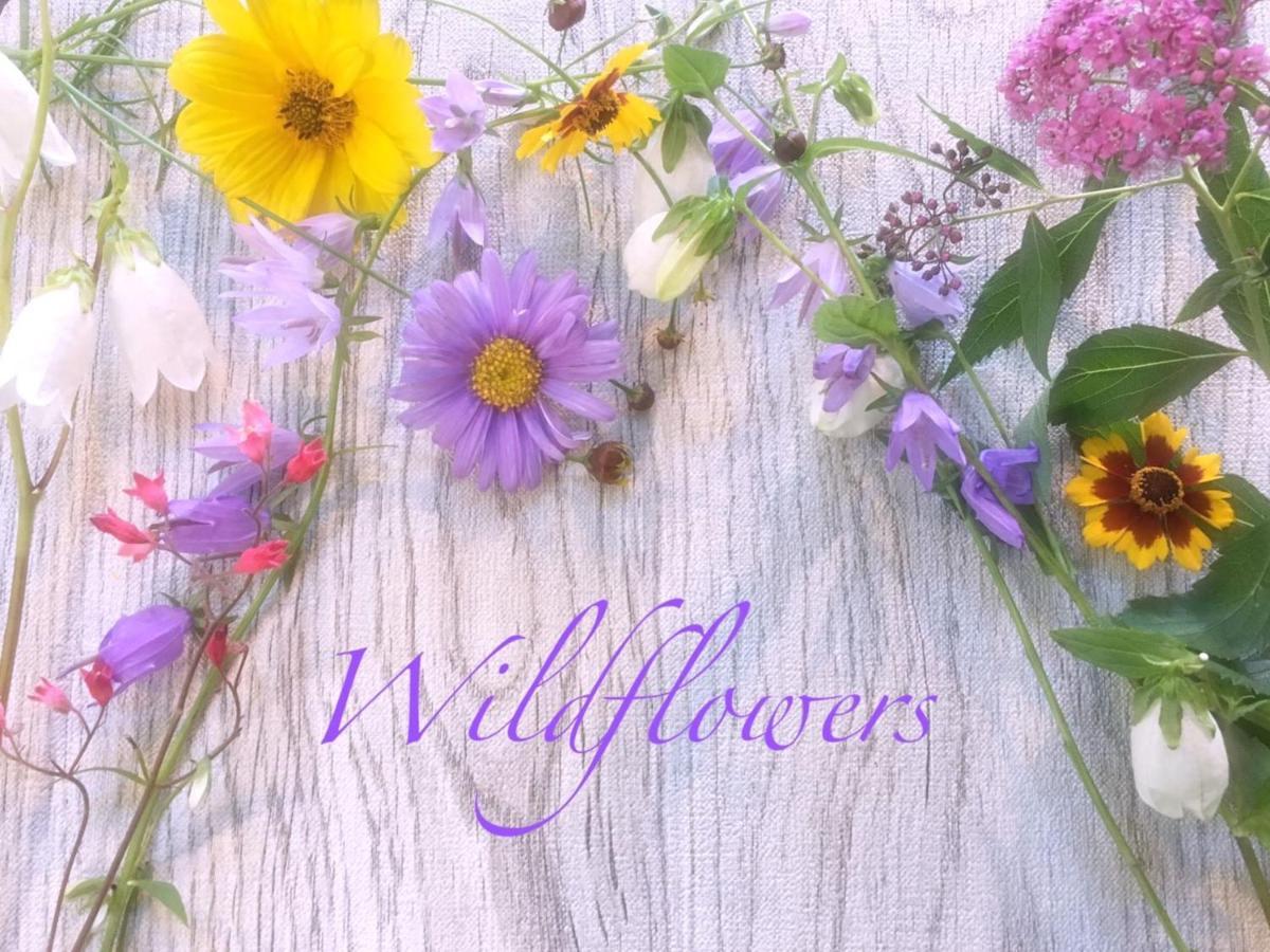 Pension Wildflowers Tateshina  Exteriör bild