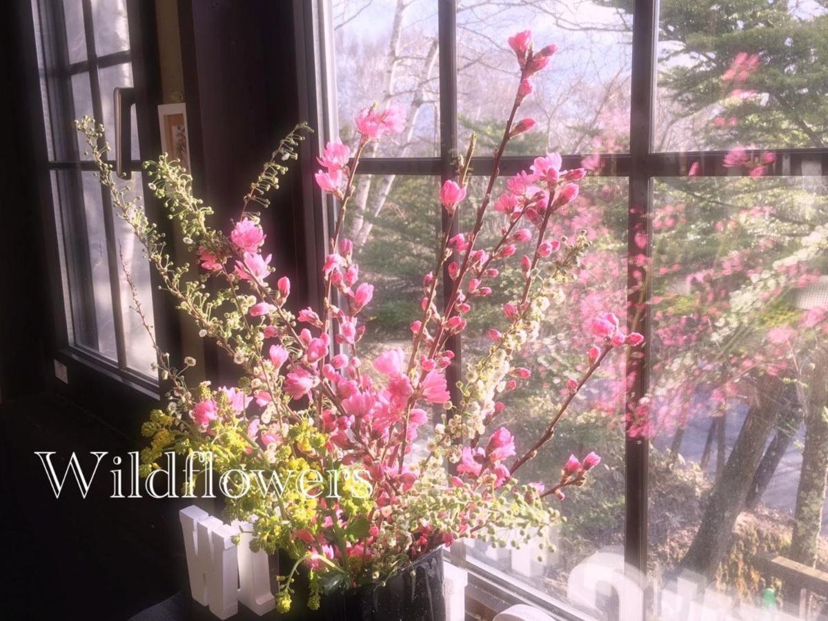 Pension Wildflowers Tateshina  Exteriör bild