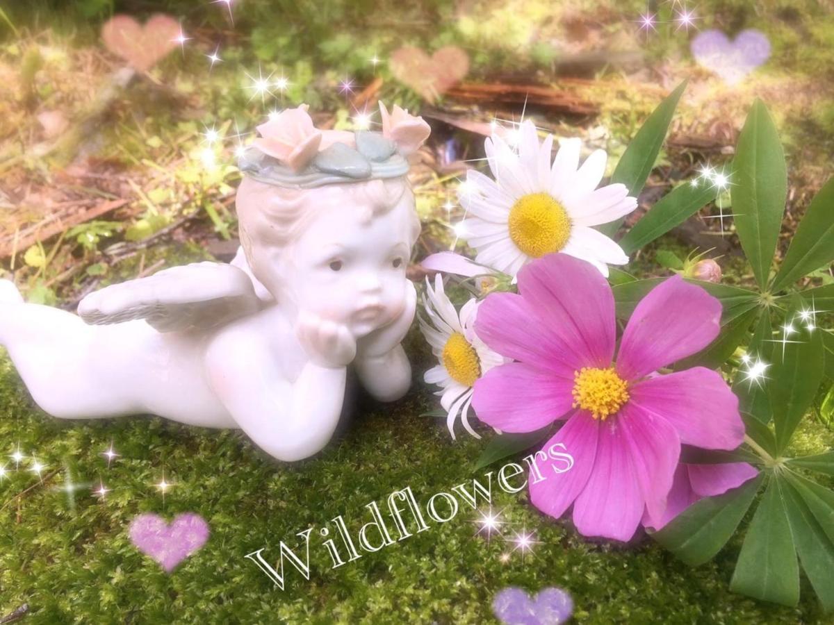 Pension Wildflowers Tateshina  Exteriör bild